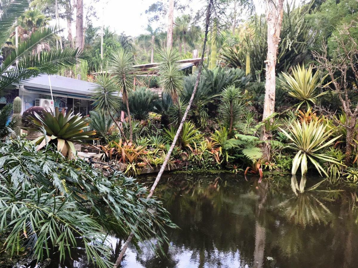Ancient Gardens Guesthouse & Botanical Gardens Eudlo エクステリア 写真